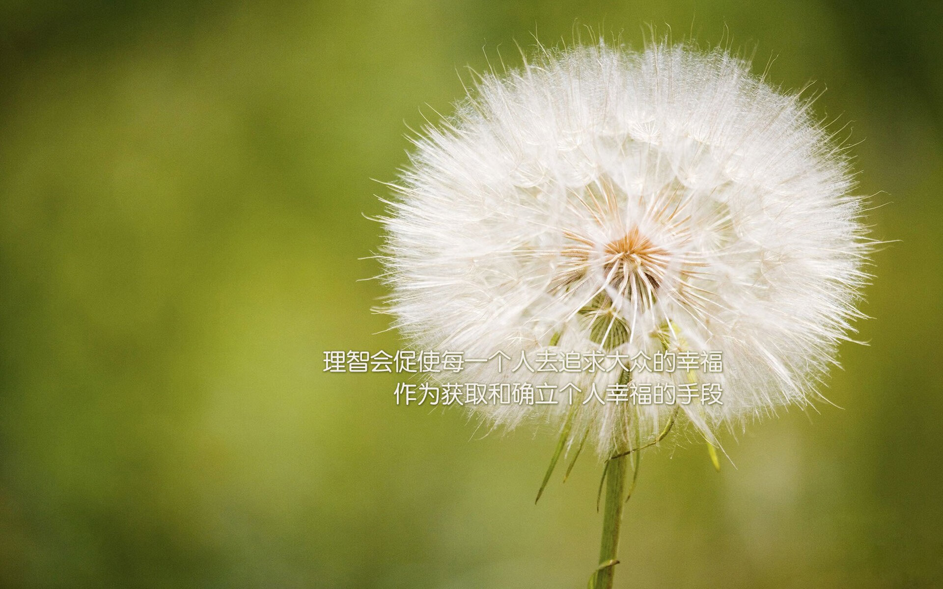 运动行为对青少年网络依赖的调节作用研究，阐述运动对于青少年的帮助和影响