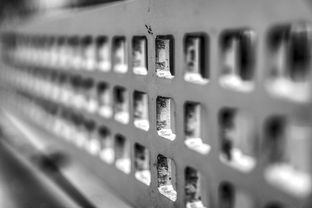 tiyu-imAPP下载-青少年运动损伤预防技术及实践研究，青少年运动损伤预防技术及实践研究论文