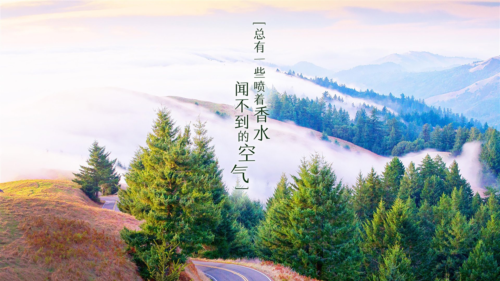 热火训练中重点练习夹击防守提升压迫性，热火训练强度