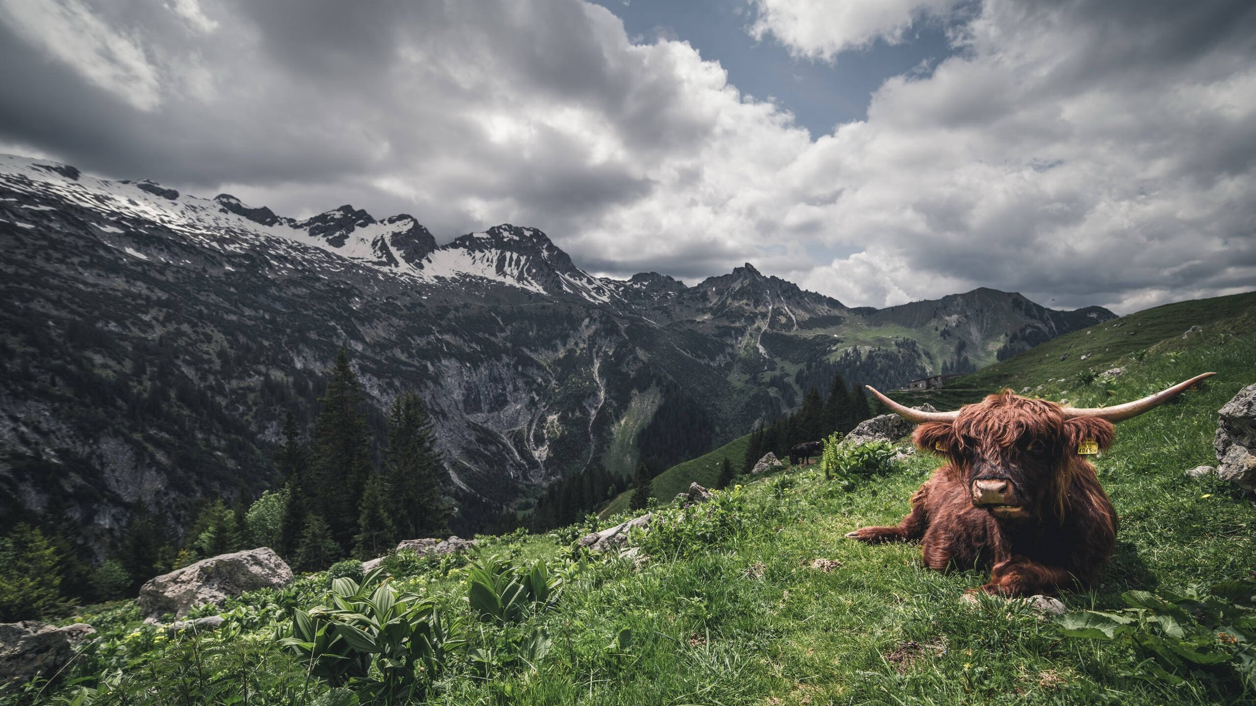 im电竞app官网-莫莉·奥卡拉汉决赛发挥获教练高度评价，莫利卡拉汉